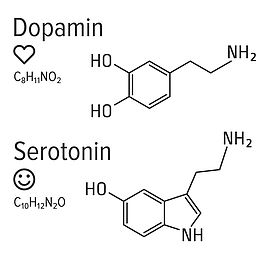 Chemische Verbindungen Serotonin und Dopamin