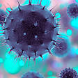 Blaue Corona-Viren vor grauem Hintergrund
