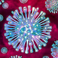Violette Corona-Viren vor rotem Hintergrund